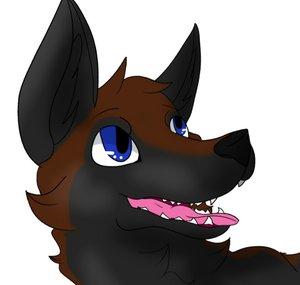 Wolf427 Gaming