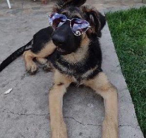 Zoe