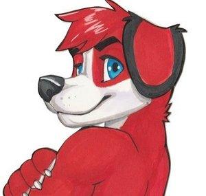Beagle.in.red