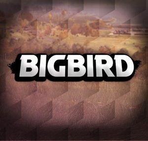 Big Bird 