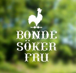 Bonde söker fru