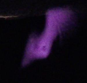 Creepy Encounters