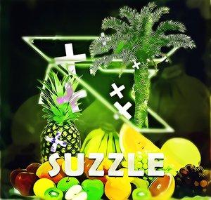 dR3z Suzzle