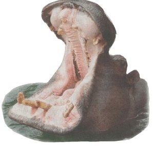 heisserreifen