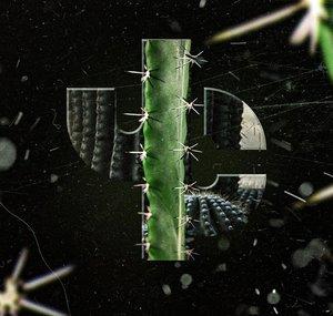 Jay Cactus Trap Beats
