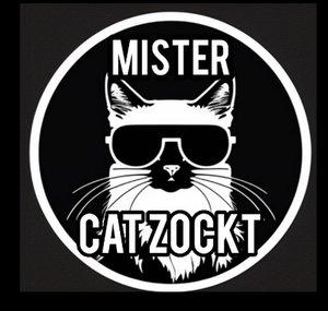 Mister Cat Zockt