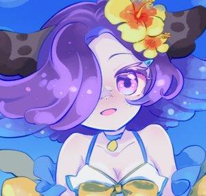 Nalu_thesealpup
