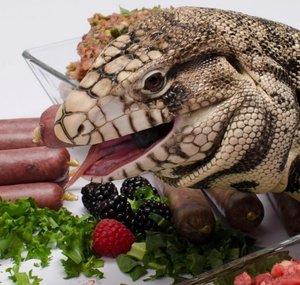 Reptilinks LLC
