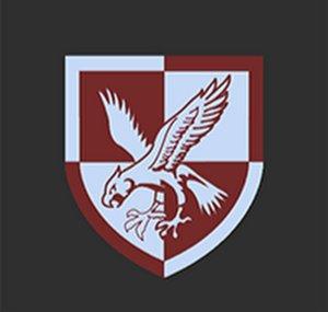 16 Air Assault Milsim Community