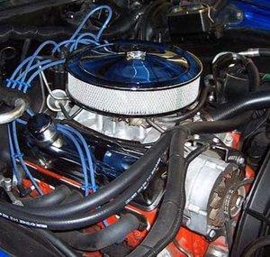 Blue Mustang