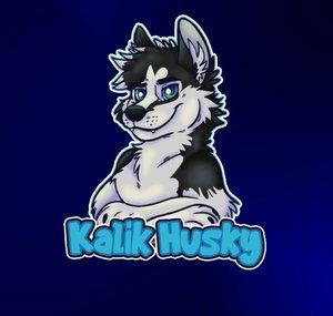 Kalik Husky
