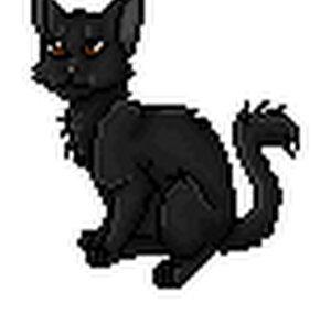 KaterArt