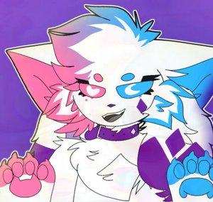 kittydoggo