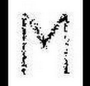 maxustech12
