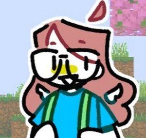 NickyNam VODS