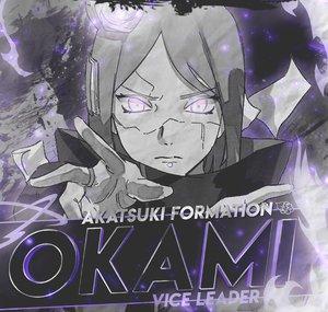 rising okami
