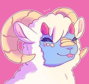 SapphireSheep