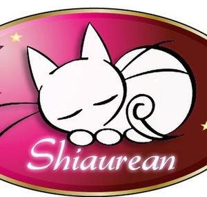 ShiAurean & frikis con ramen