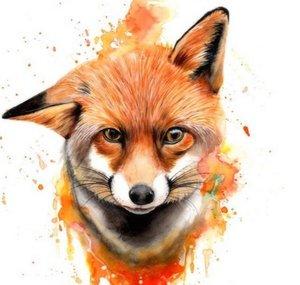Thirteenth Fox
