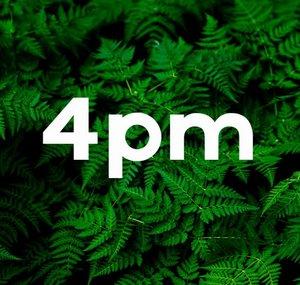 4pm