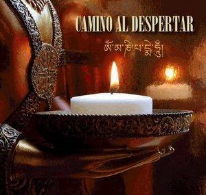 Camino al Despertar 2