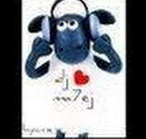 DjWopper