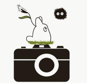 Fototoro