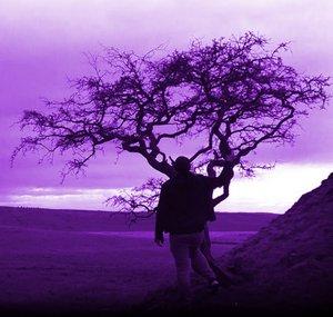 Lonely Tree Entertainment