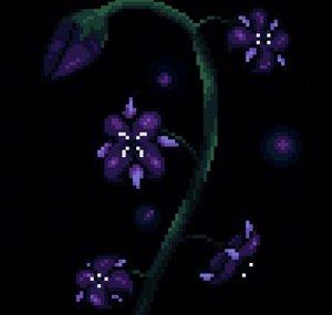 nighttshade