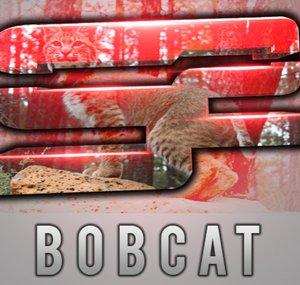 Oh Bobcat