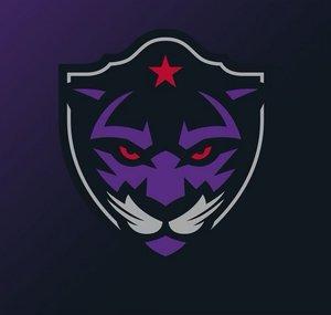 Panther City Lacrosse Club