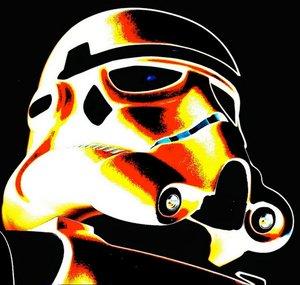 swcallow