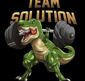 Team Solution