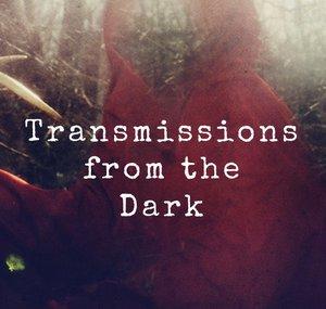 Transmissions from the Dark
