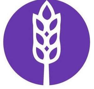 World Harvest Church