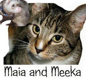 BooMaiaKitten