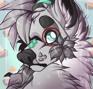 EchoFeatherss