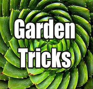 GardenTricks