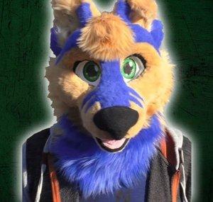 Indigowolf