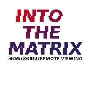 Into-the-Matrix