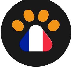 LetsAdoptFrance
