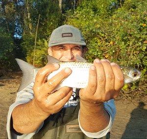 Pescando e Cuidando