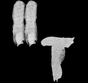 Second Theory