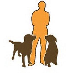 Stadtfelle DogTraining