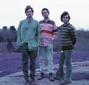 The Brazen Youth