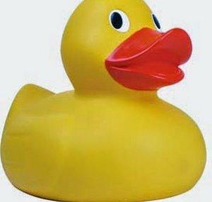 THE DIRE DUCK