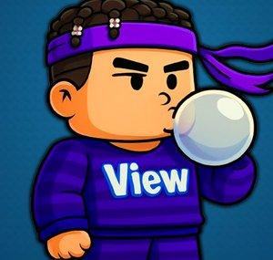 ViewSIM