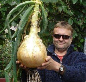 Allotment Diary