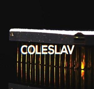 Coleslav