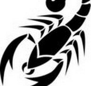 DEADLY SCORPION75